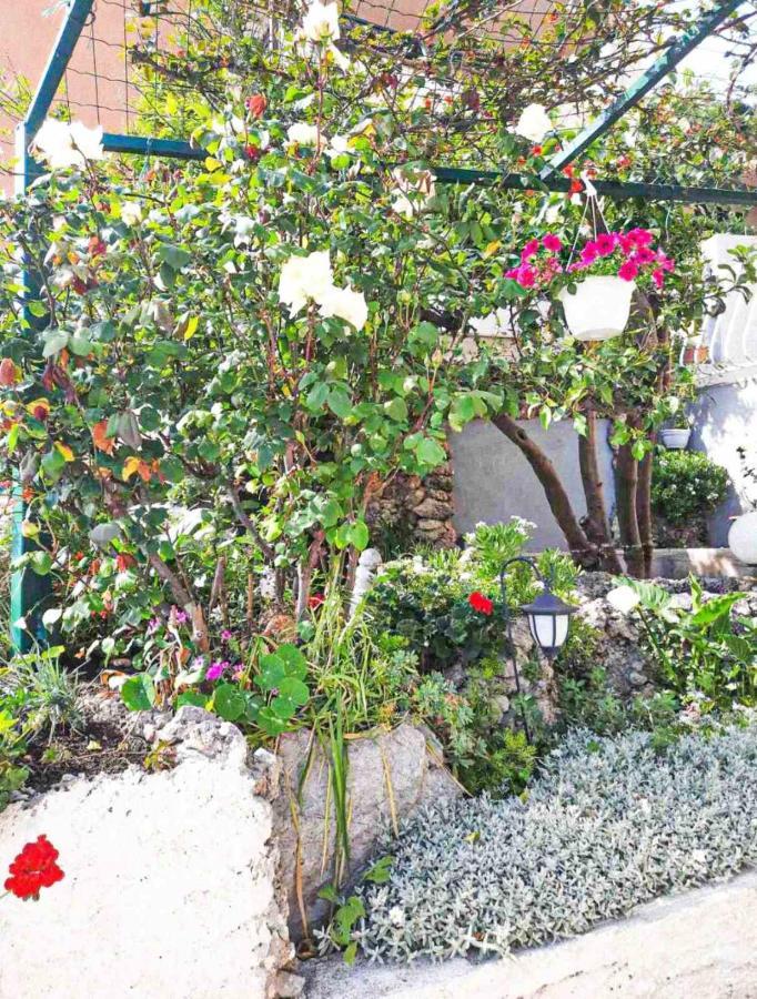 Apartment D&M1 Makarska Exteriör bild